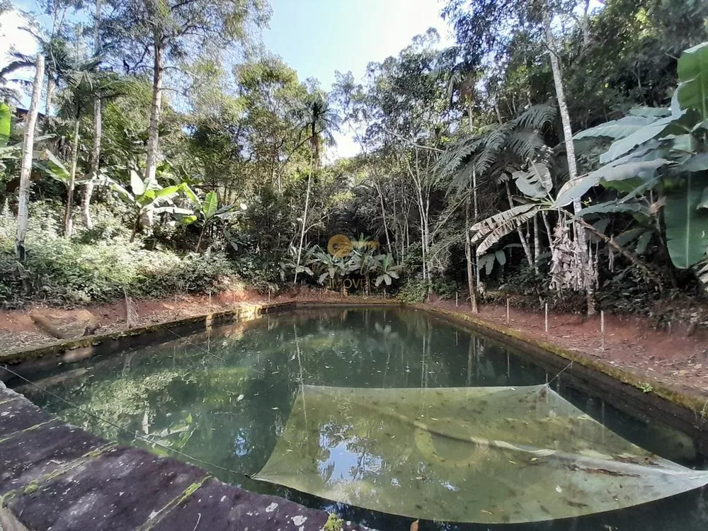 Terreno, 5000 m² - Foto 1