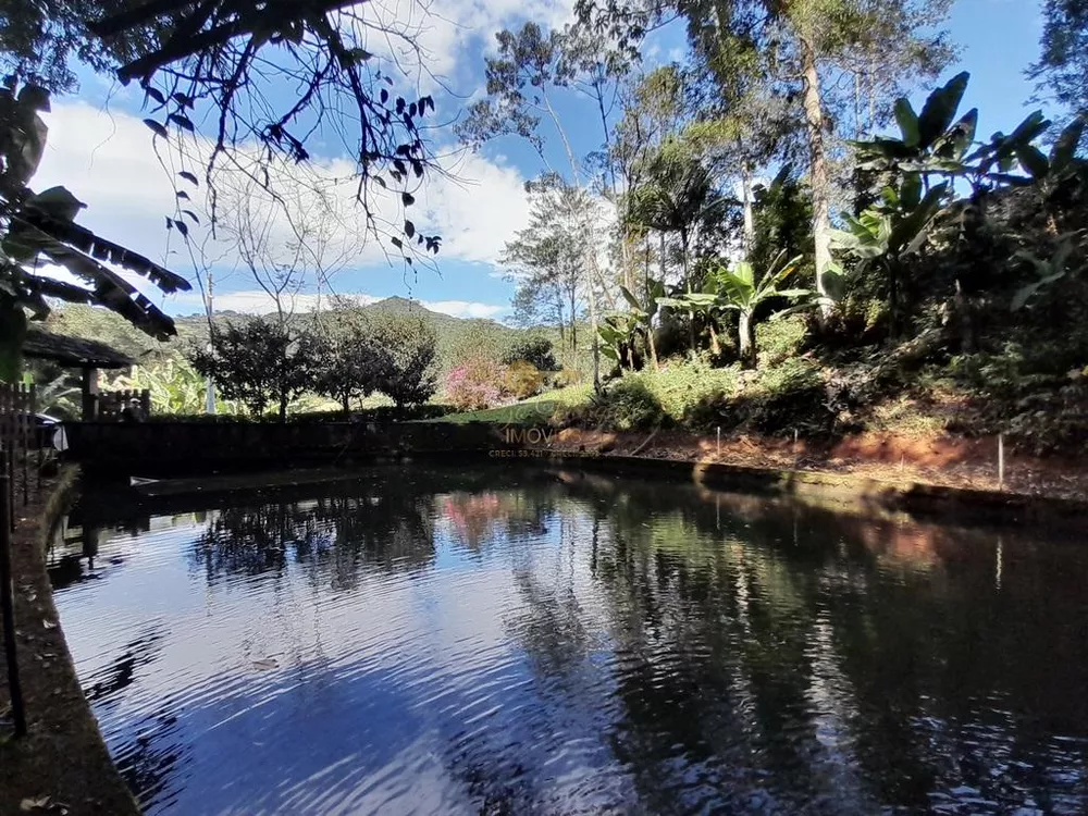 Terreno, 5000 m² - Foto 4