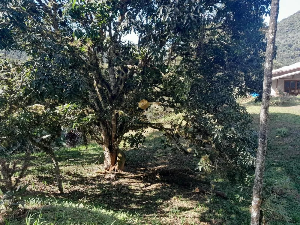 Terreno, 5000 m² - Foto 18