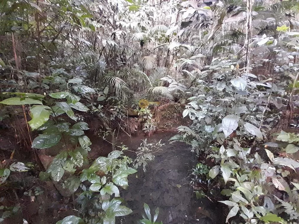 Terreno, 5000 m² - Foto 40