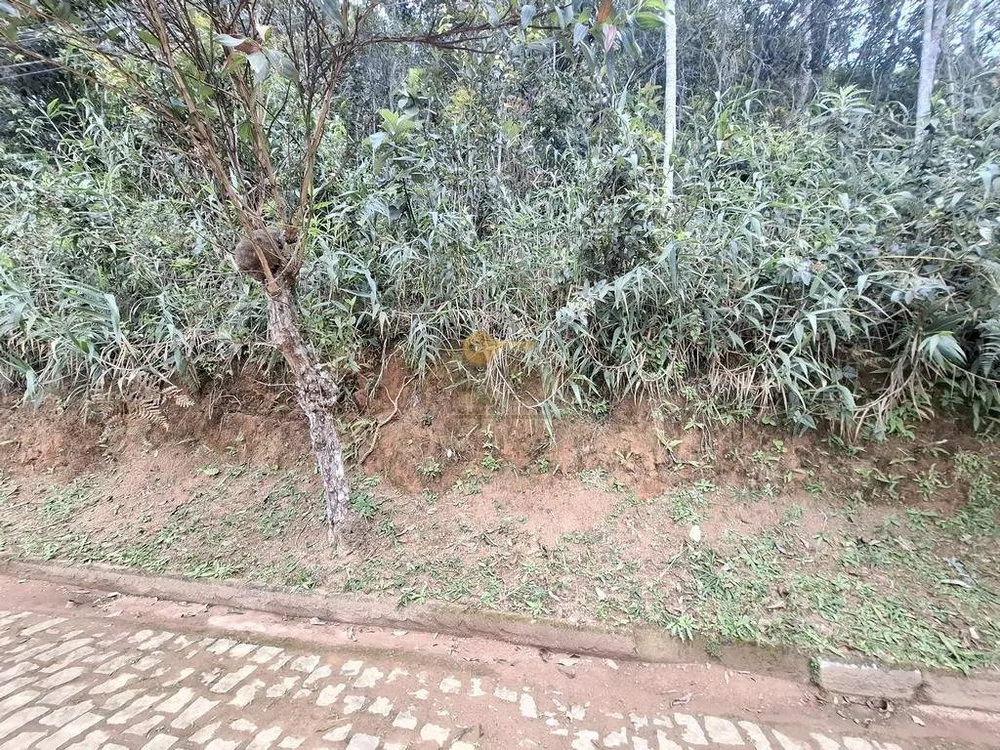 Terreno, 2170 m² - Foto 7
