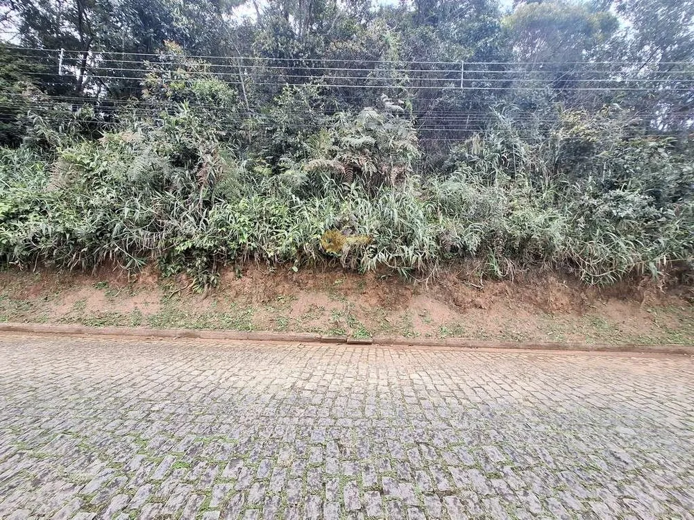 Terreno, 2170 m² - Foto 8