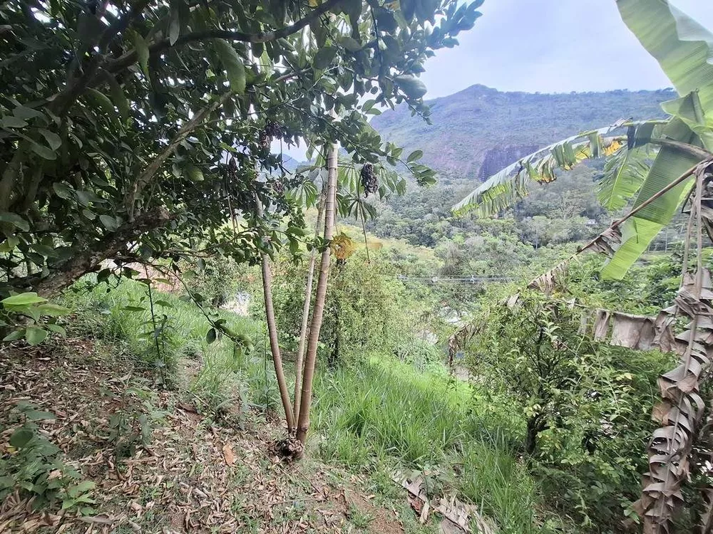 Casa, 3 quartos, 606 m² - Foto 24