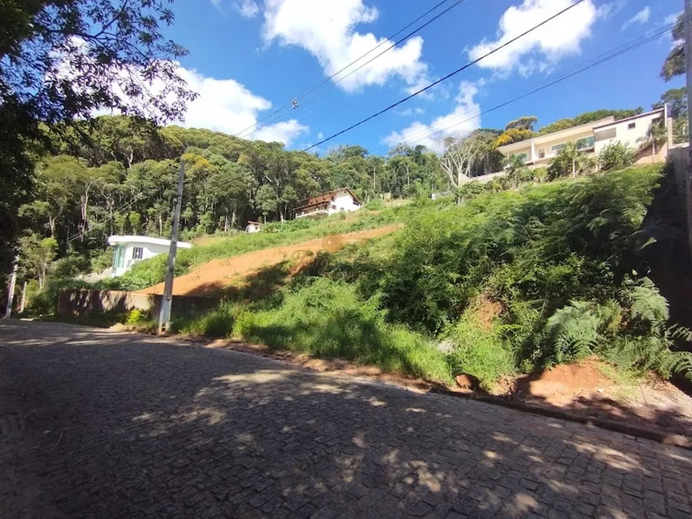 Terreno, 565 m² - Foto 4