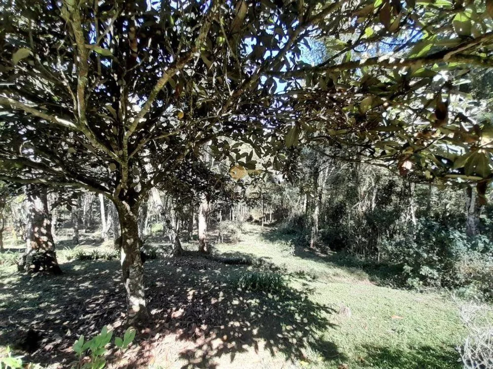 Casa, 2 quartos, 5940 m² - Foto 19