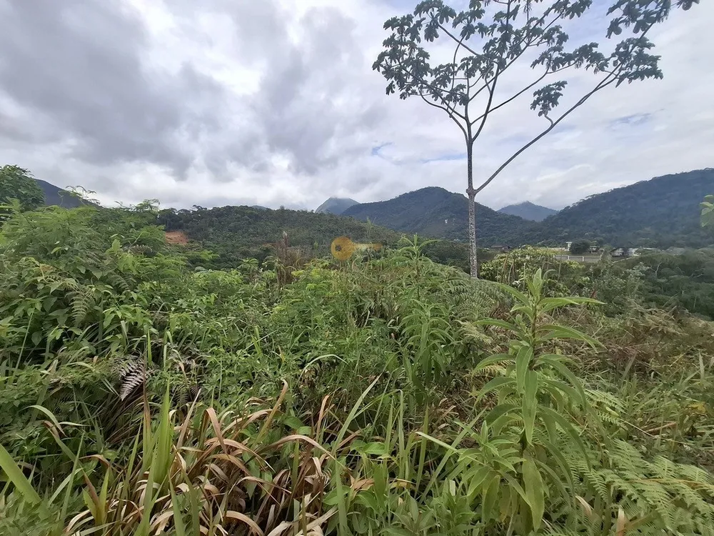 Terreno, 739 m² - Foto 11