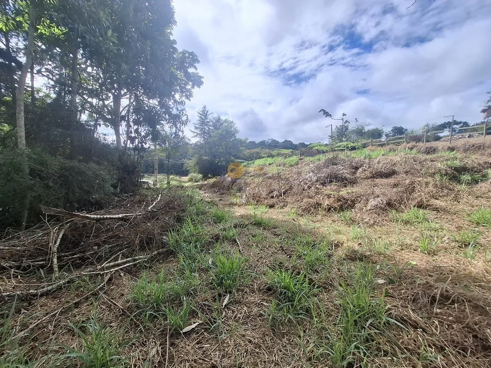 Terreno, 1617 m² - Foto 5