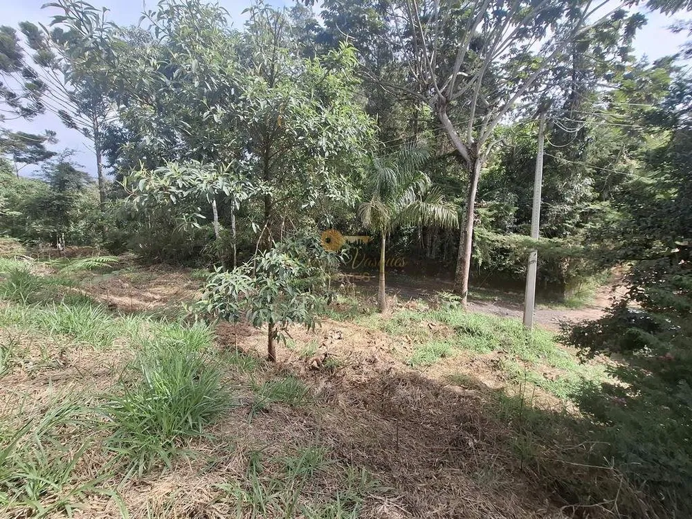 Terreno, 1617 m² - Foto 9