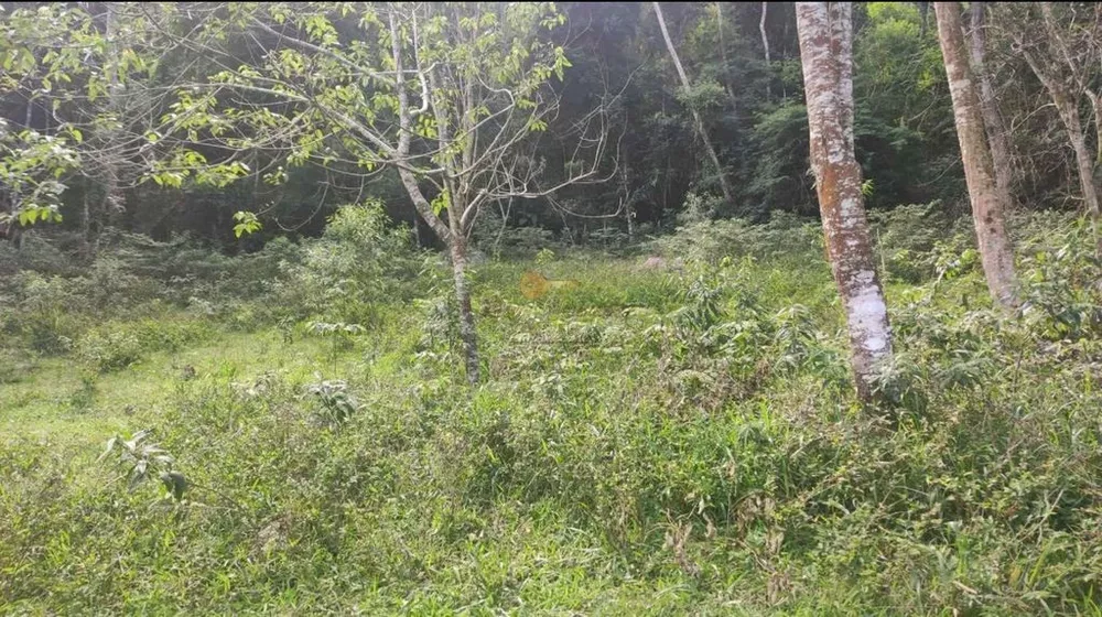 Terreno, 2132 m² - Foto 8