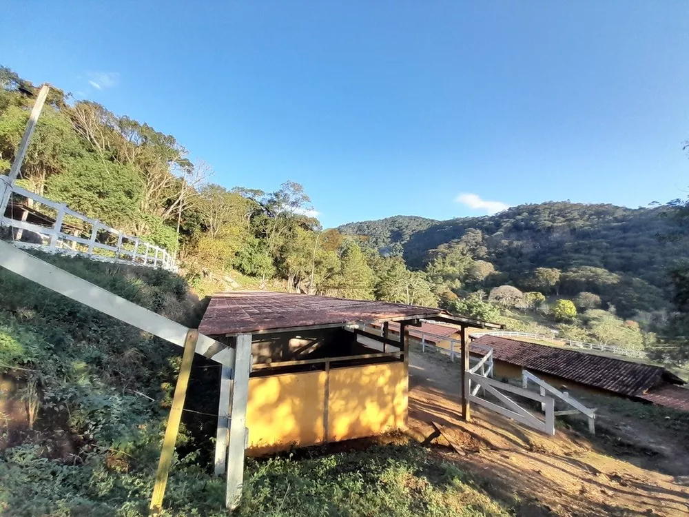 Fazenda, 14 hectares - Foto 22