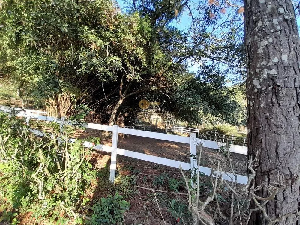 Fazenda, 14 hectares - Foto 2