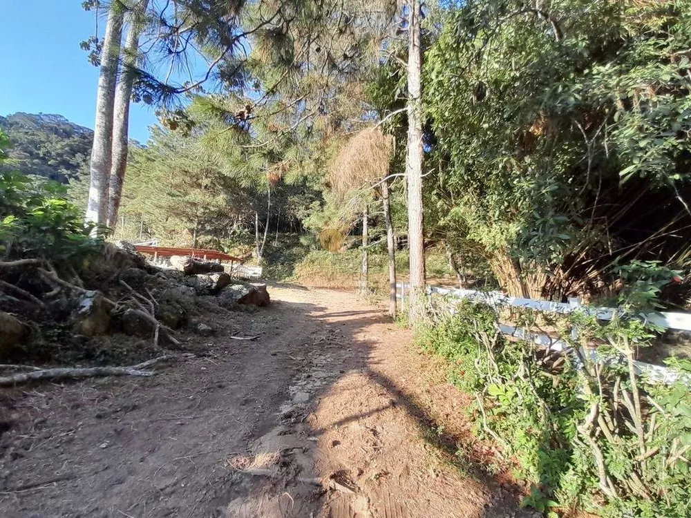 Fazenda, 14 hectares - Foto 3