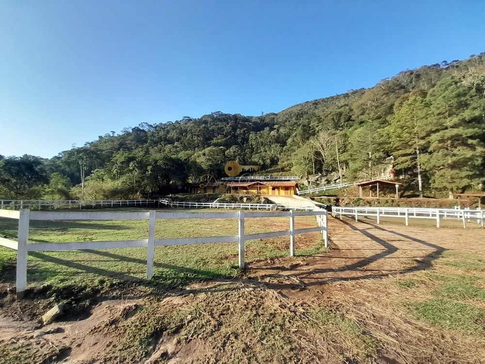 Fazenda, 14 hectares - Foto 6