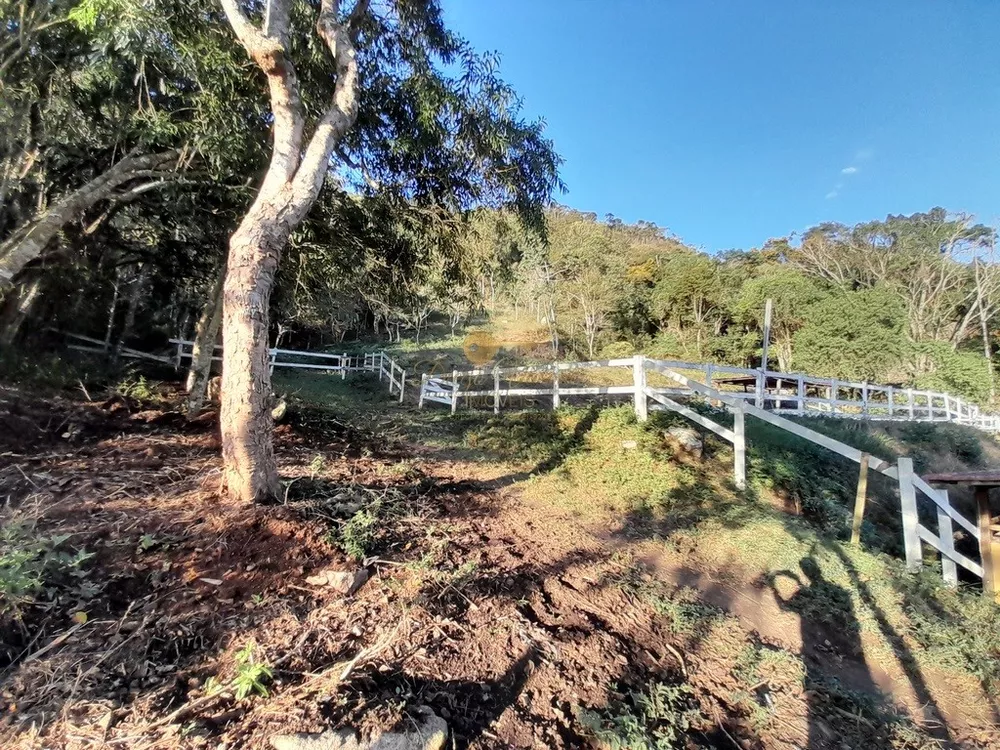 Fazenda, 14 hectares - Foto 19