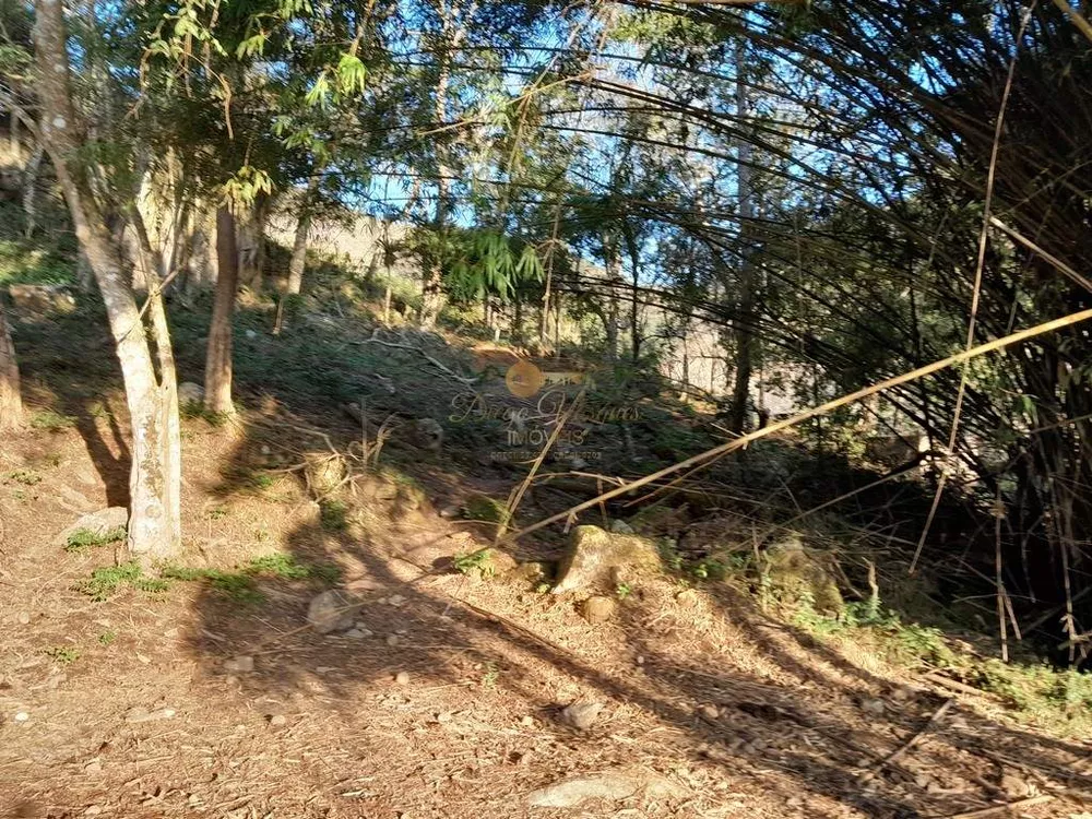 Fazenda, 14 hectares - Foto 28