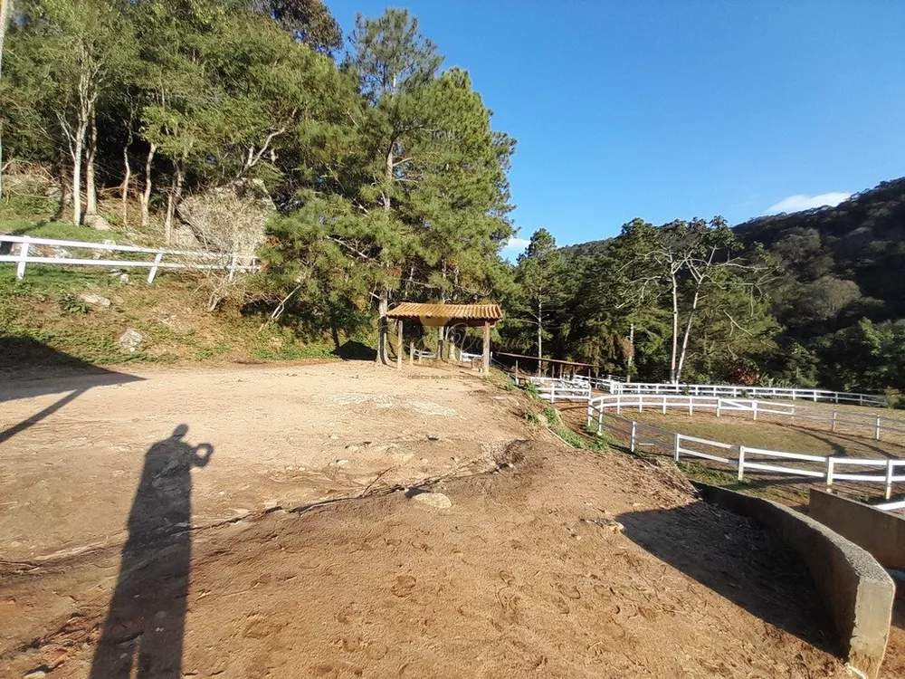 Fazenda, 14 hectares - Foto 13