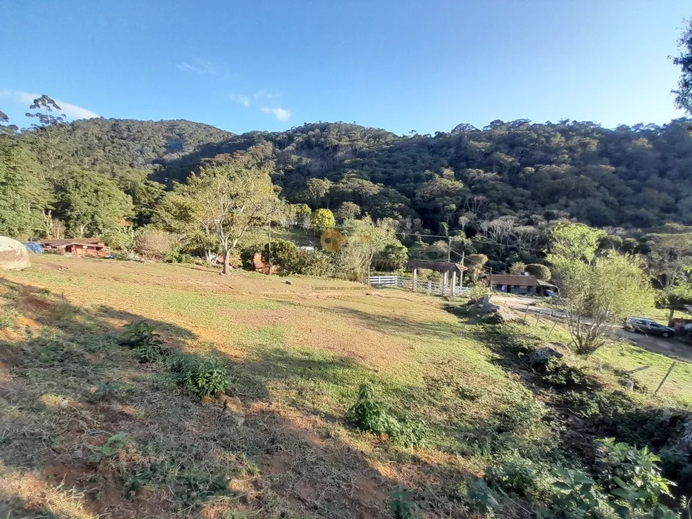 Fazenda, 14 hectares - Foto 7