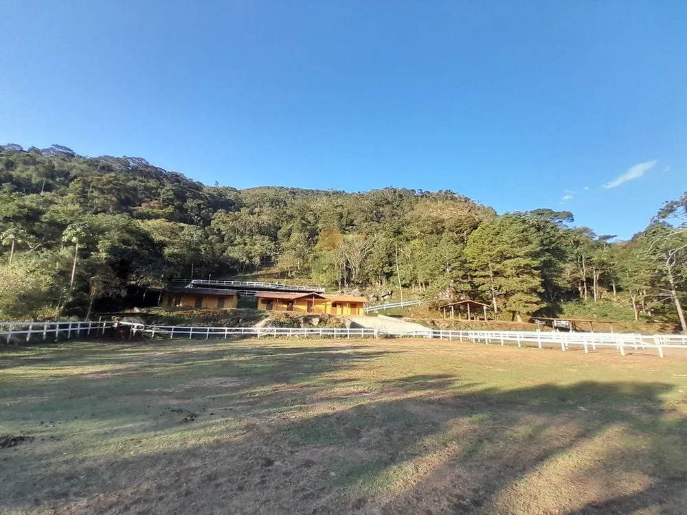 Fazenda, 14 hectares - Foto 9