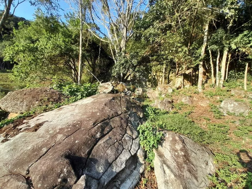 Fazenda, 14 hectares - Foto 25