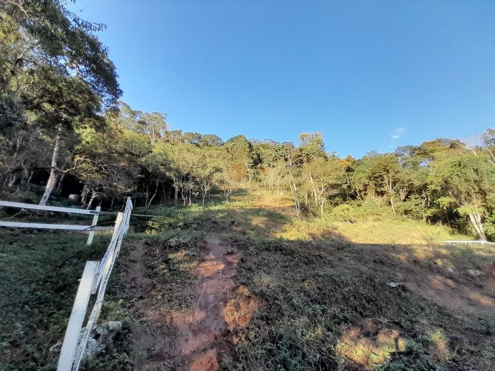 Fazenda, 14 hectares - Foto 20