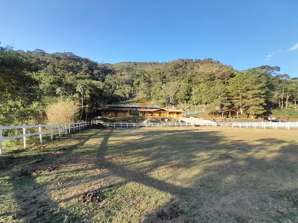 Fazenda, 14 hectares - Foto 8