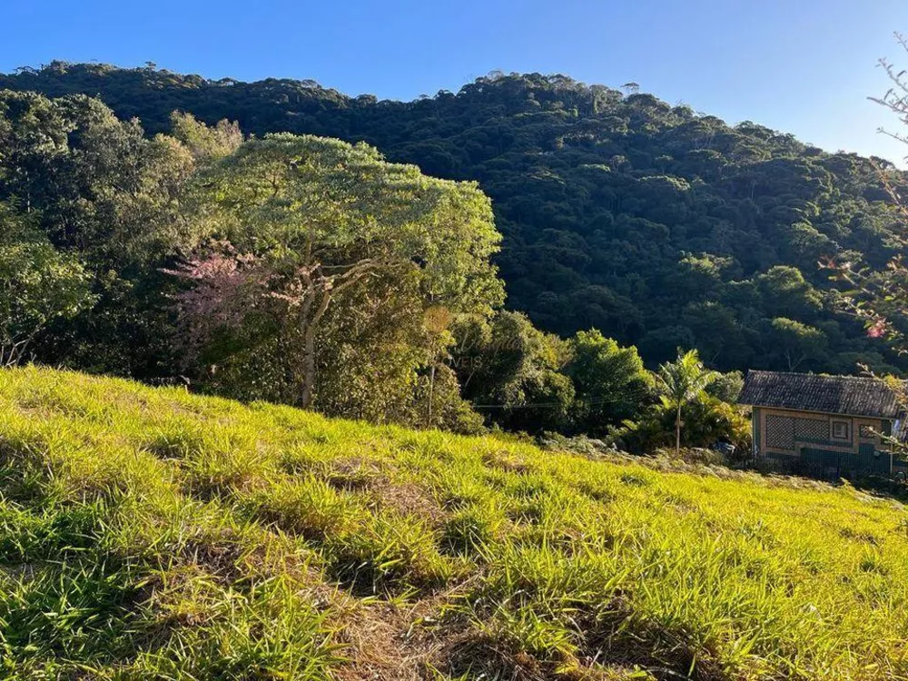 Terreno, 450 m² - Foto 8