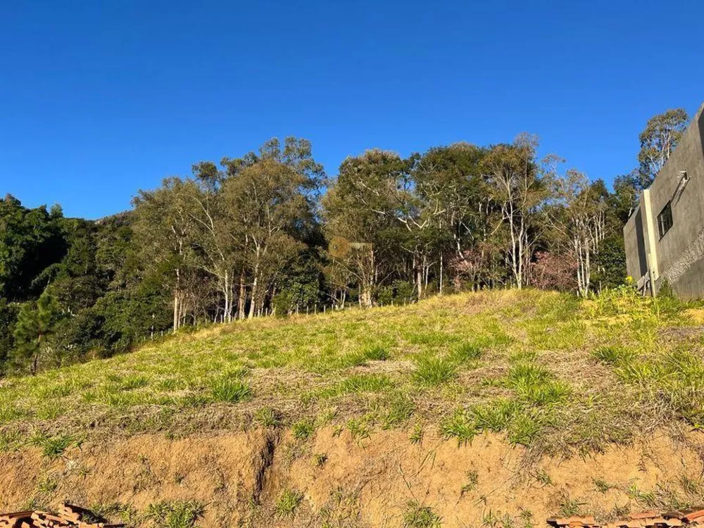 Terreno, 575 m² - Foto 6