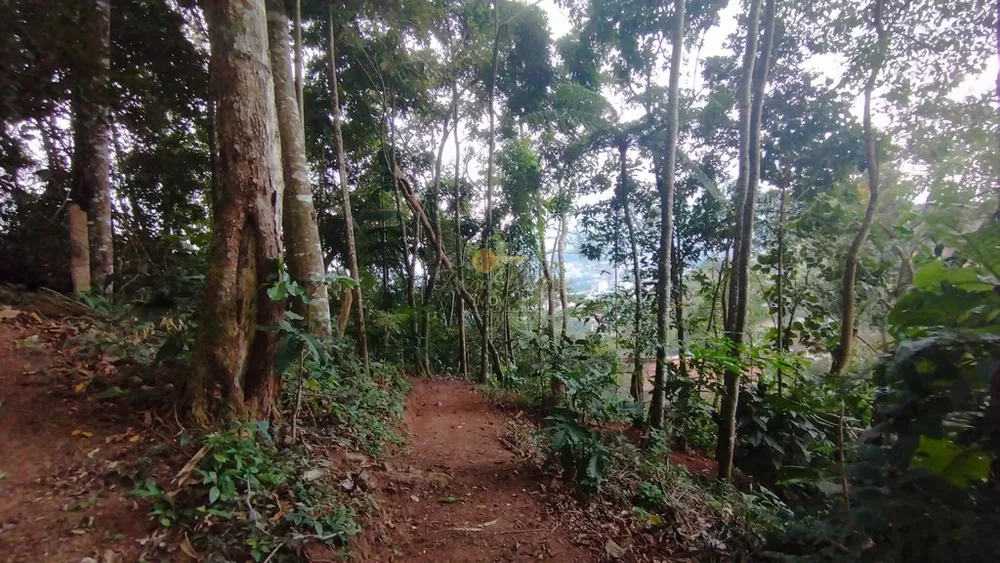 Terreno, 488 m² - Foto 6