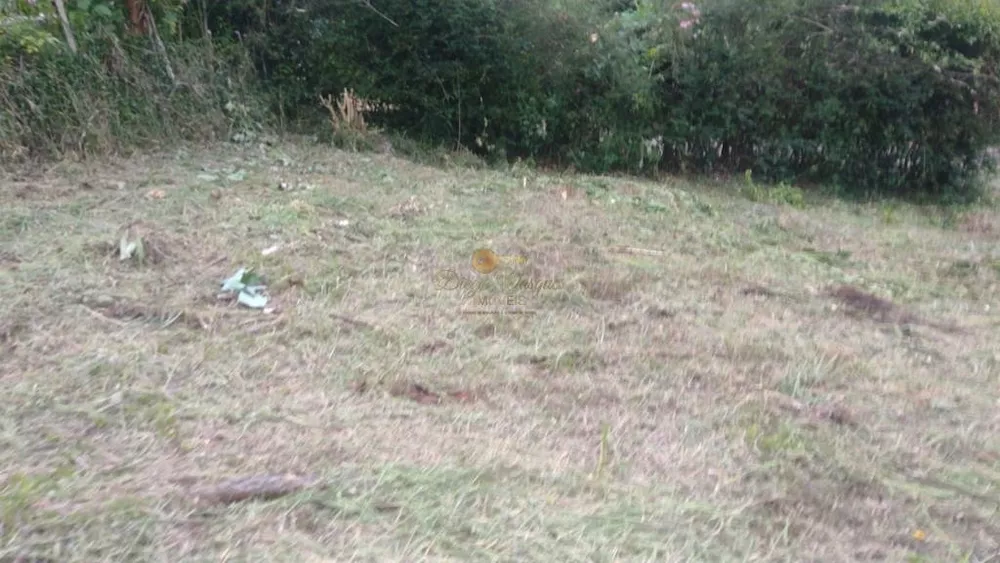 Terreno, 462 m² - Foto 3