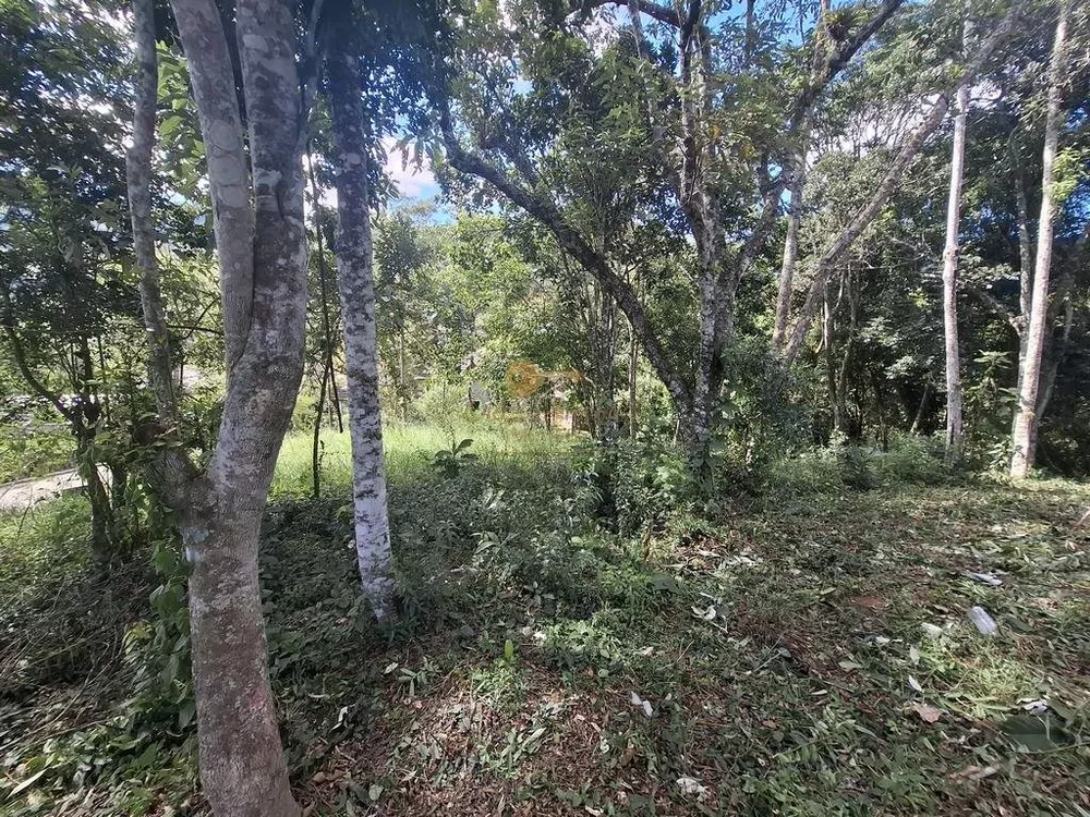 Terreno, 344 m² - Foto 4