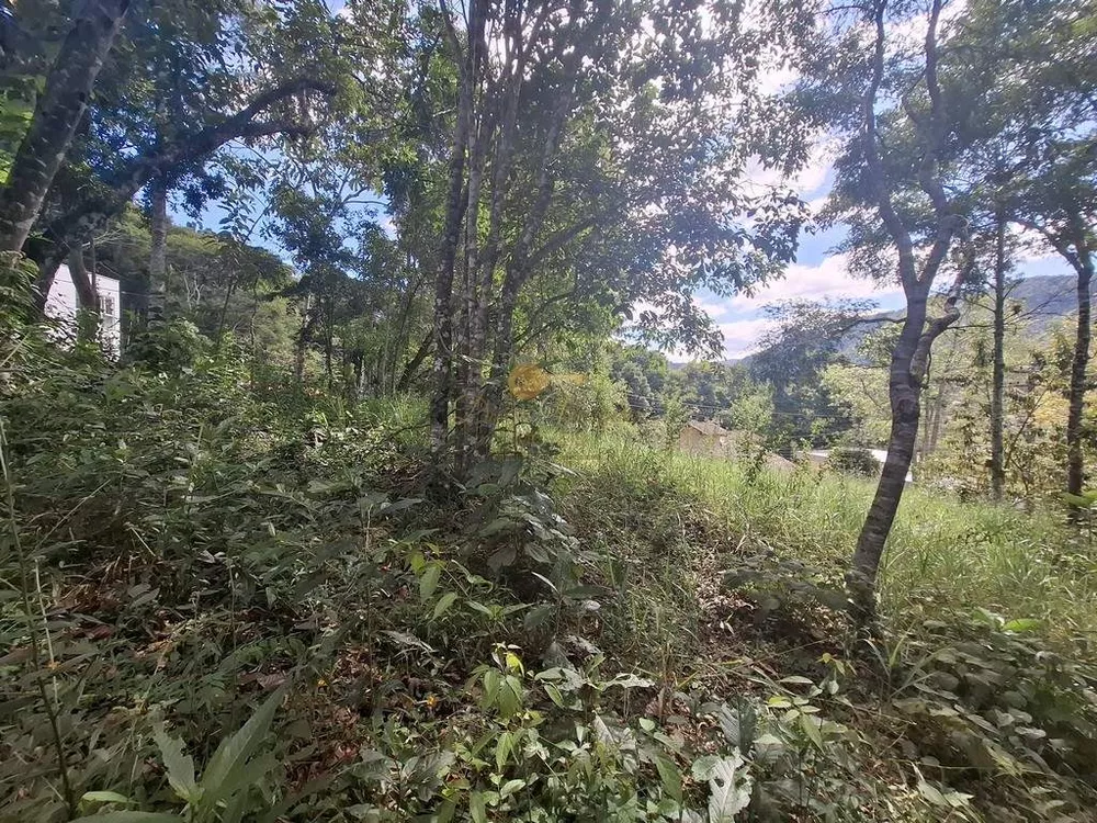 Terreno, 344 m² - Foto 5