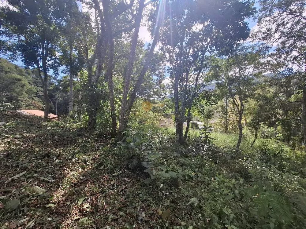 Terreno, 344 m² - Foto 6