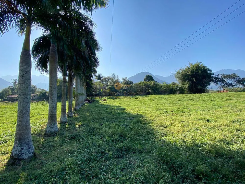 Terreno, 3 hectares - Foto 1