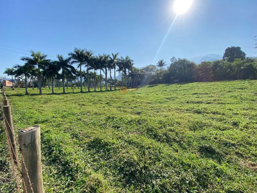 Terreno, 3 hectares - Foto 6