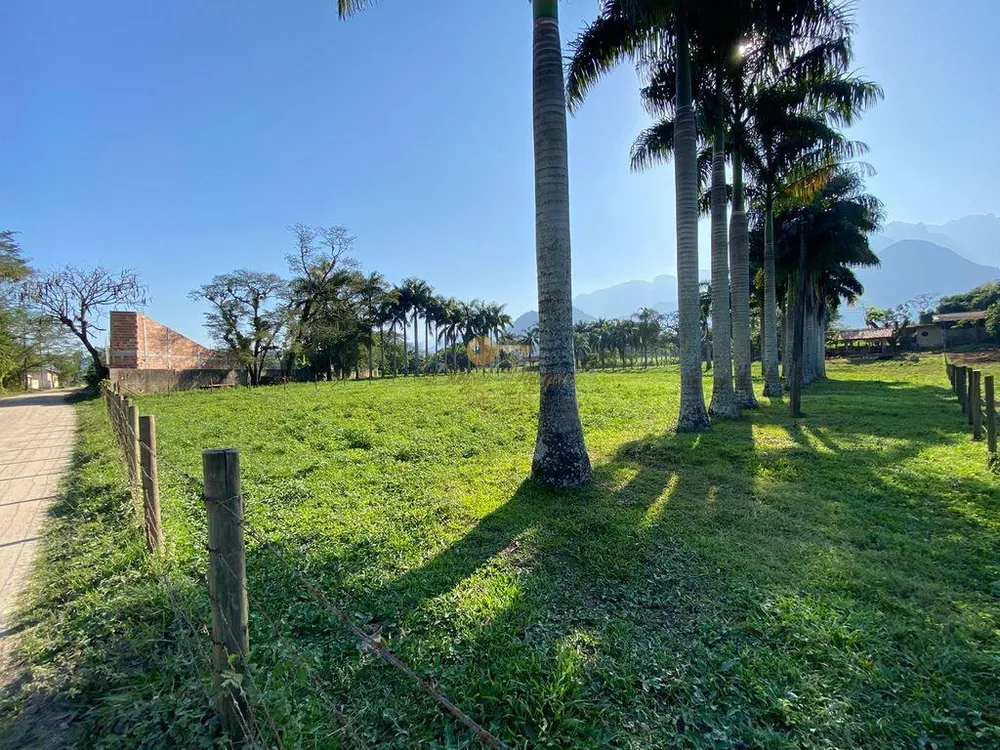 Terreno, 3 hectares - Foto 2