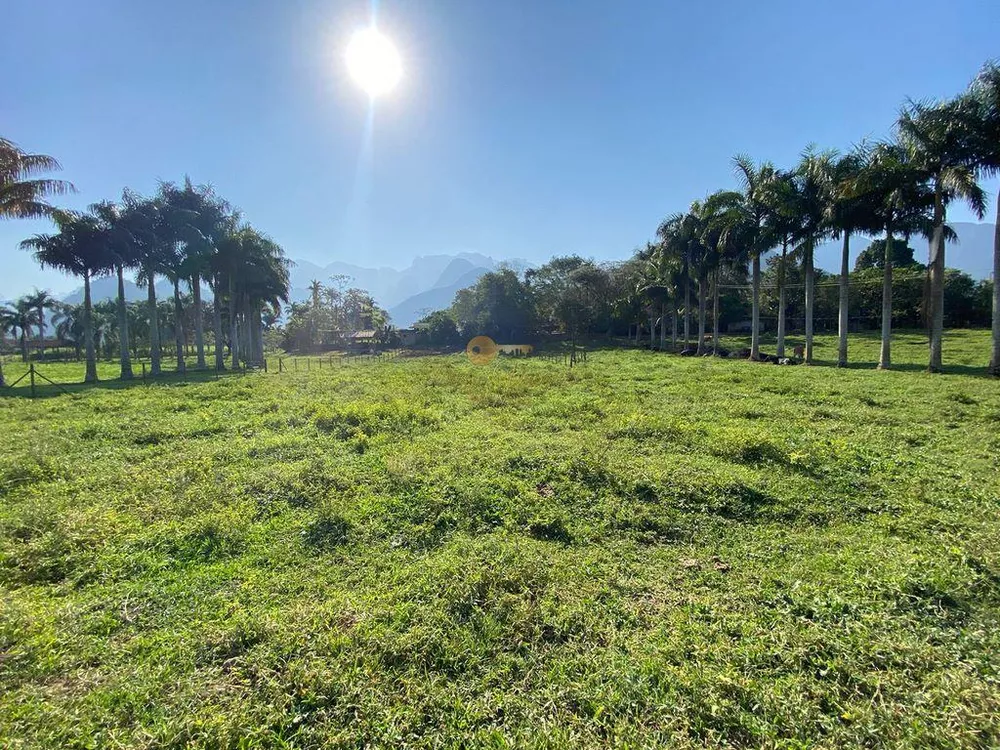 Terreno, 3 hectares - Foto 3