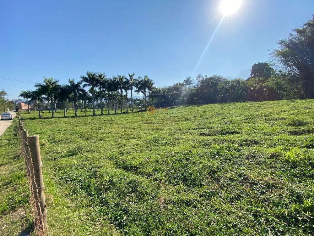 Terreno, 3 hectares - Foto 4