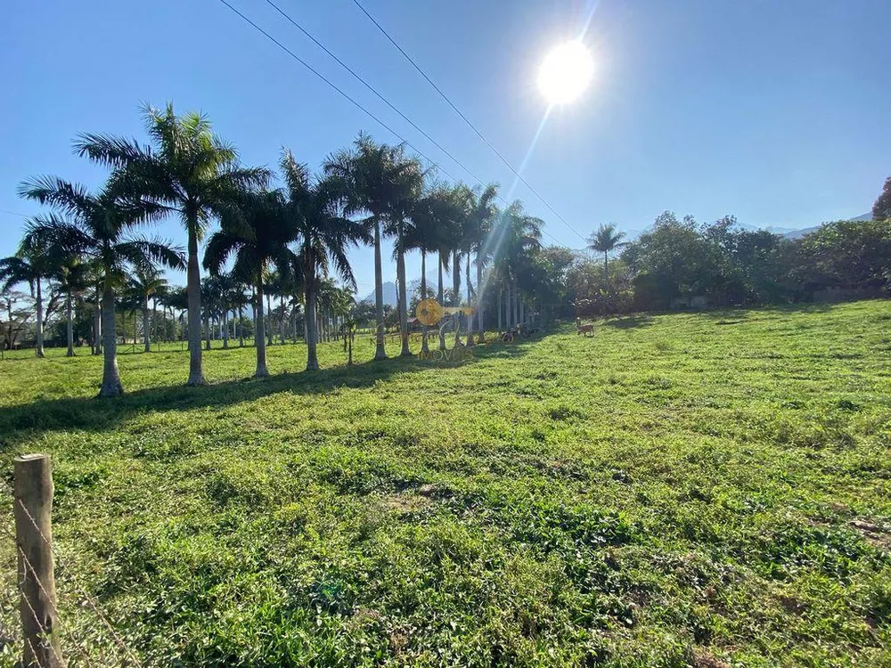 Terreno, 3 hectares - Foto 7