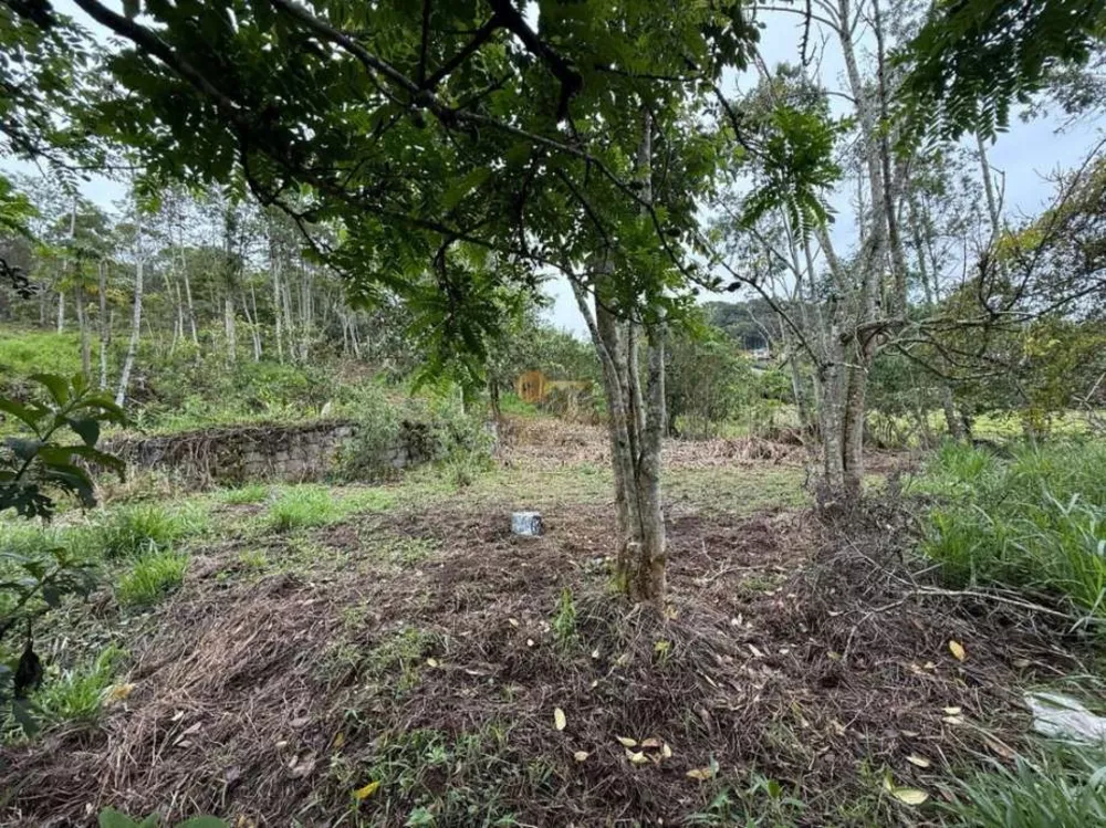 Terreno, 3000 m² - Foto 9