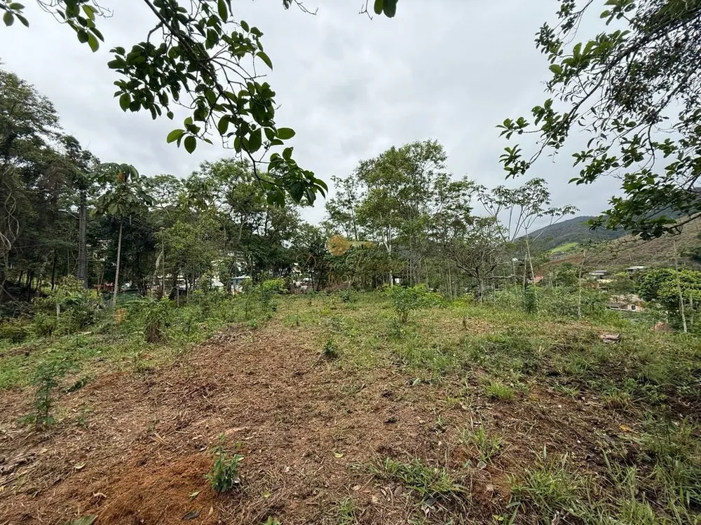 Terreno, 3000 m² - Foto 11