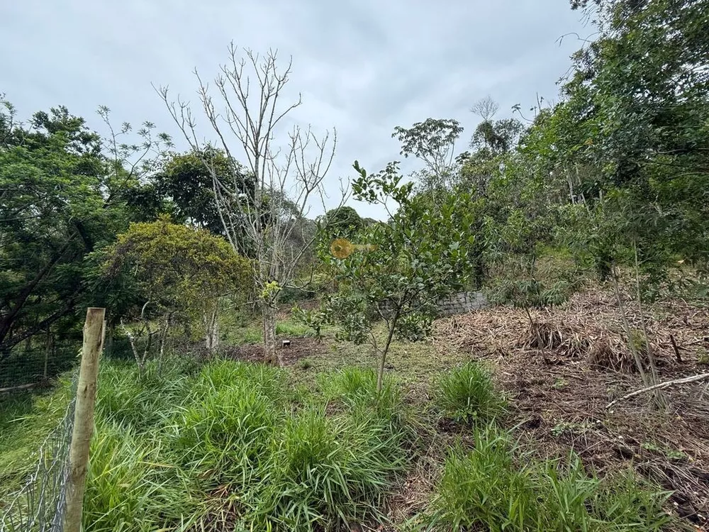 Terreno, 3000 m² - Foto 5