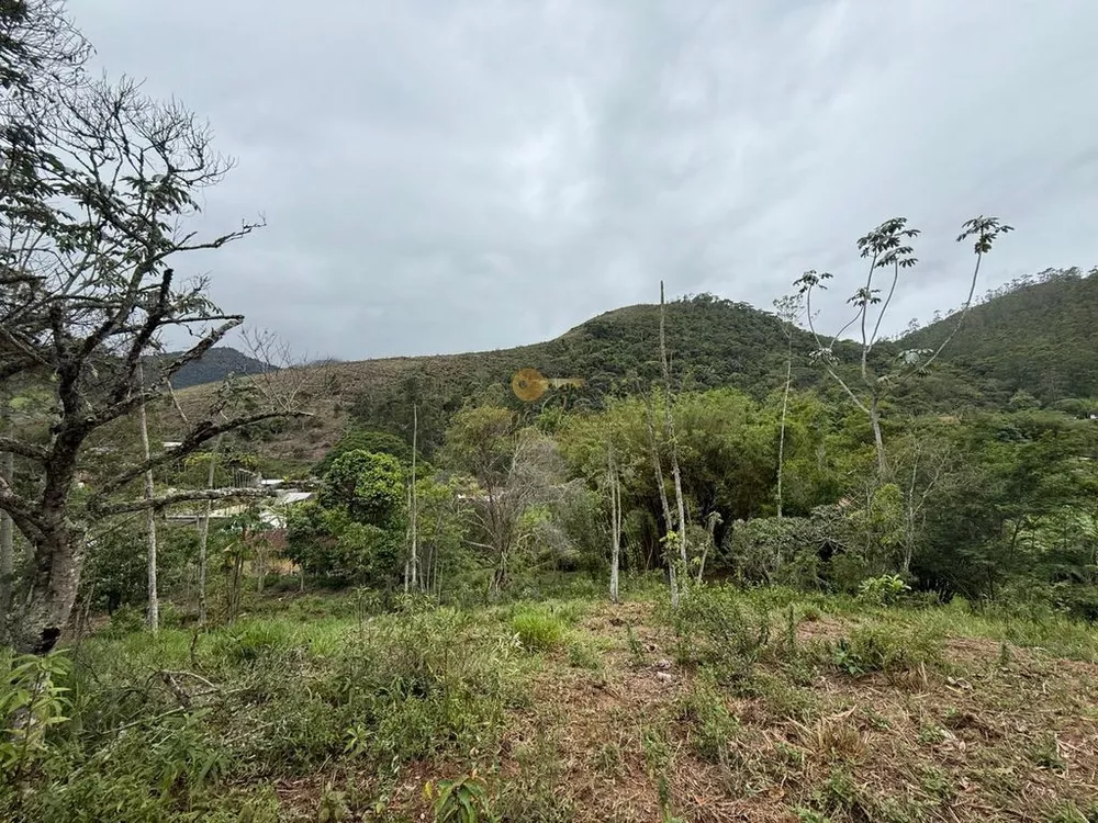 Terreno, 3000 m² - Foto 6