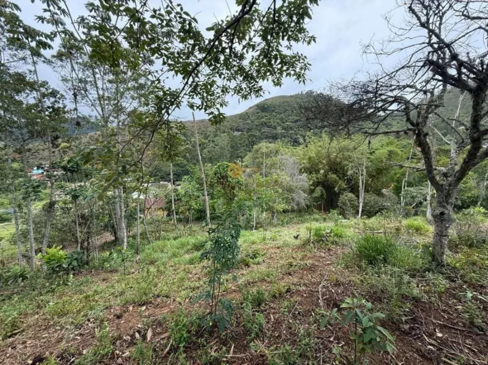 Terreno, 3000 m² - Foto 13