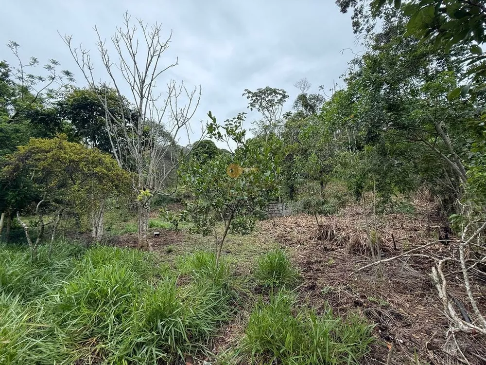 Terreno, 3000 m² - Foto 12