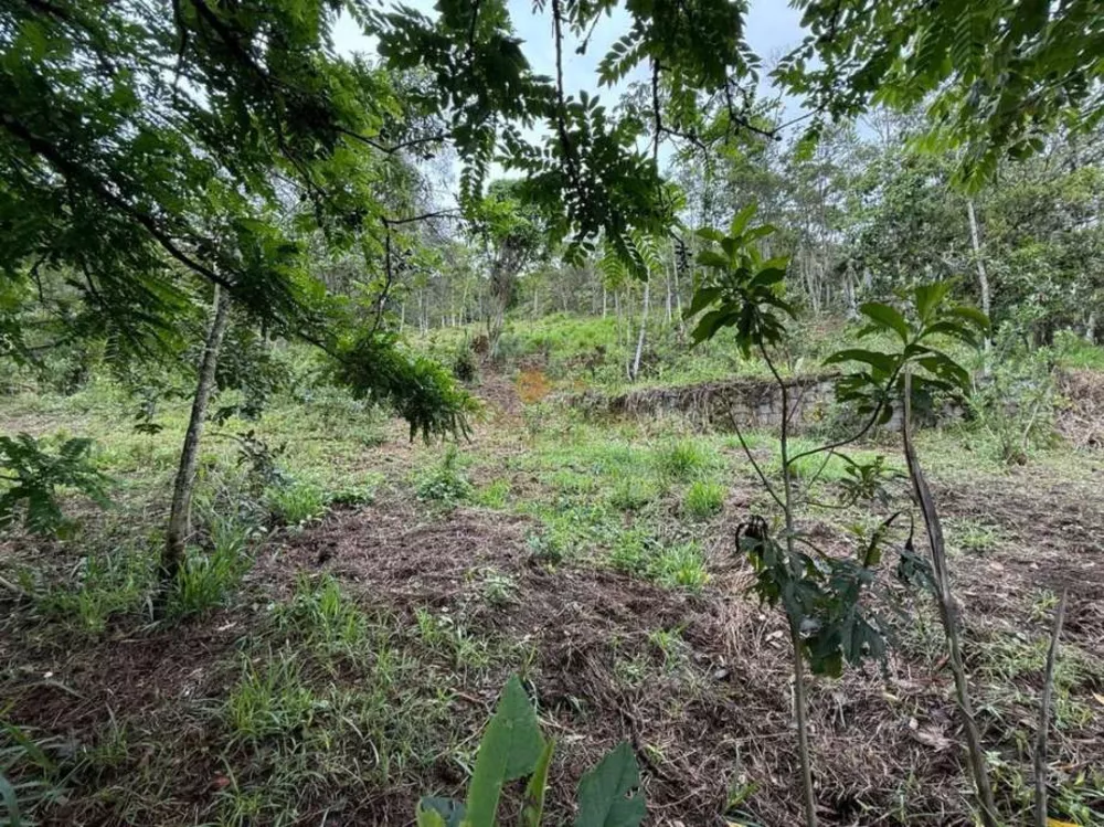 Terreno, 3000 m² - Foto 2