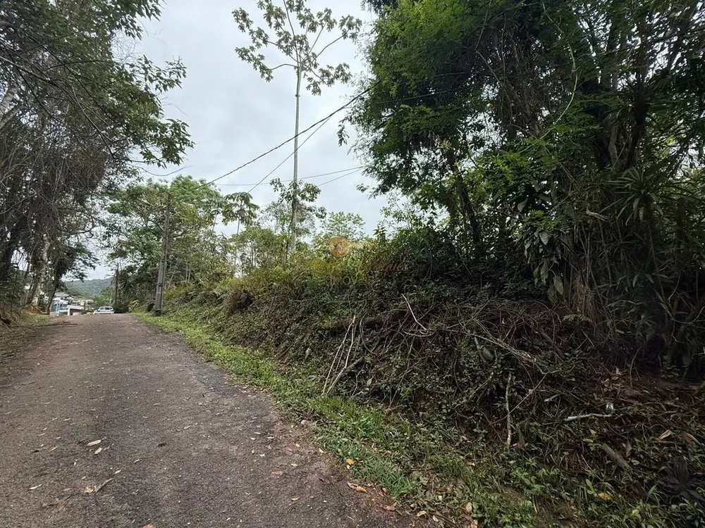 Terreno, 3000 m² - Foto 7