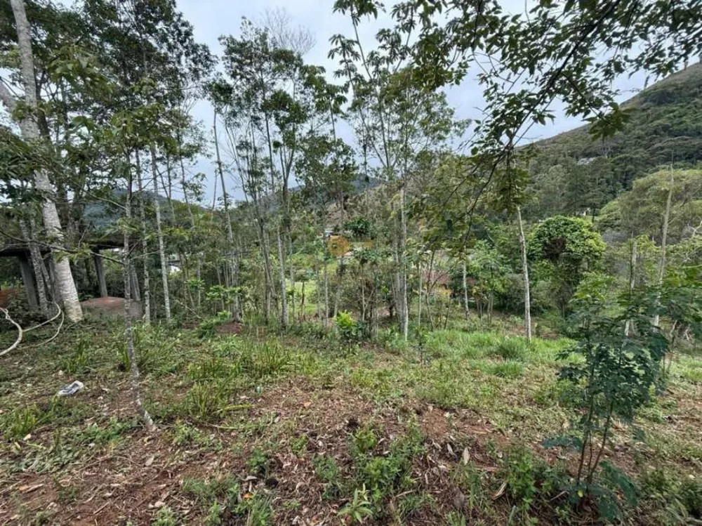 Terreno, 3000 m² - Foto 3