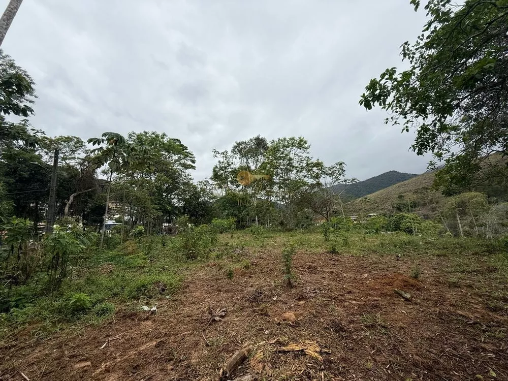 Terreno, 3000 m² - Foto 8