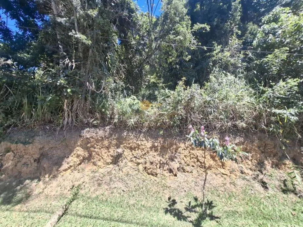 Terreno, 2552 m² - Foto 5