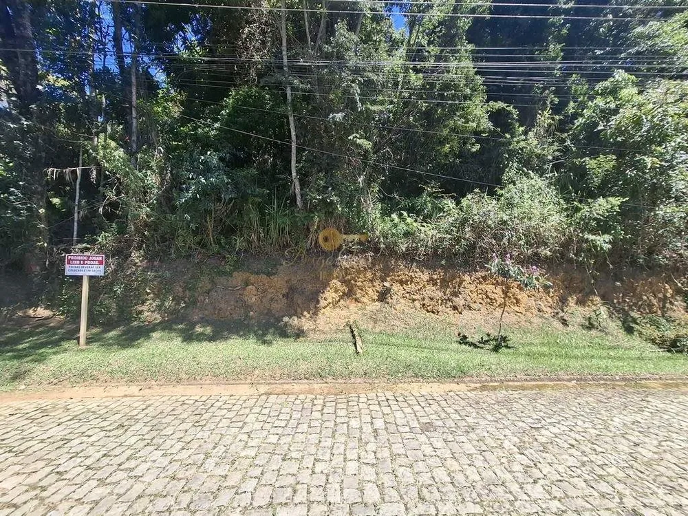 Terreno, 2552 m² - Foto 3